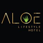 43462154_2240170566123060_8662805330721243136_n